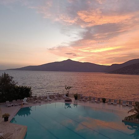 Cactus Garden Kalkan - Club Patara Villas מראה חיצוני תמונה